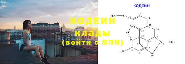 гидра Нея