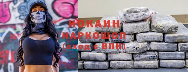 гидра Нея