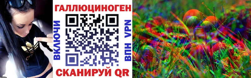 Купить  Оха  Галлюциногенные грибы Psilocybe 